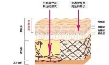 才是SK2+HR+Lamer組成的王炸！