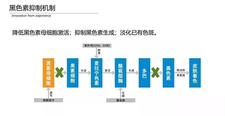 美白法寶