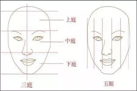 影響翹鼻較重要的地方。