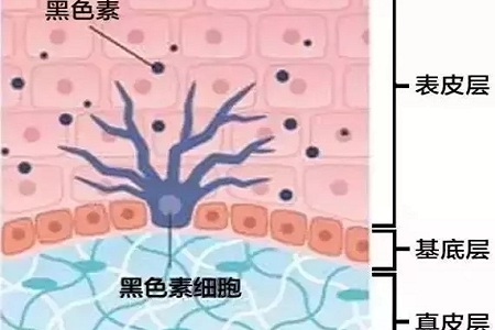 祛斑偏方“害死人”，小仙女們可長(zhǎng)點(diǎn)心吧！