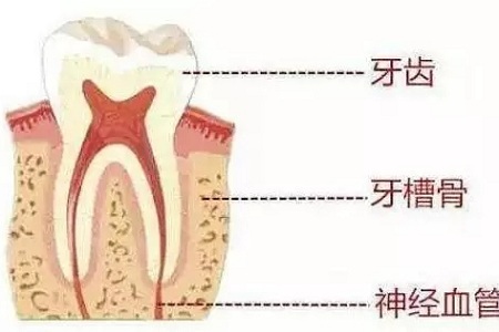 做牙齒矯正 ，真的要趁早！