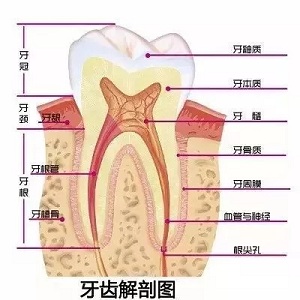 問診室：為什么我的牙卻永遠也刷不白？