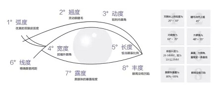 美眼張誠(chéng)坐診美萊，淺談為什么你的眼睛不夠美？