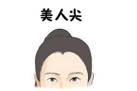 貴陽美人尖種植價(jià)格 打造你的專屬M(fèi)型標(biāo)記